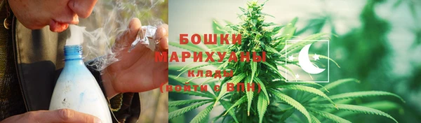 ПСИЛОЦИБИНОВЫЕ ГРИБЫ Лихославль