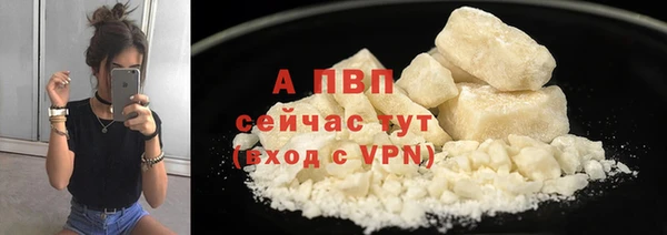 ПСИЛОЦИБИНОВЫЕ ГРИБЫ Лихославль
