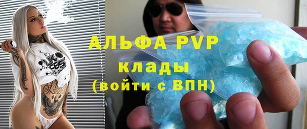 ПСИЛОЦИБИНОВЫЕ ГРИБЫ Лихославль